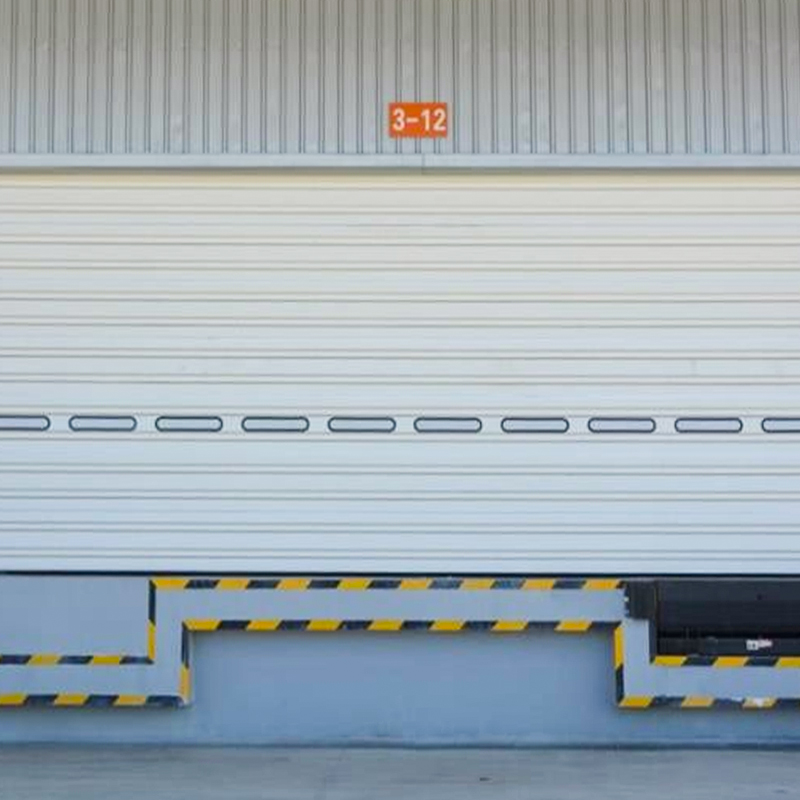 SD03 Aluminum Single Panel Industrial Sectional Door